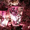 Аватар паблишера Sakura Scans