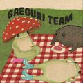 Аватар паблишера Gaeguri Team