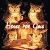 Аватар паблишера House for Owls | Дом для Совят