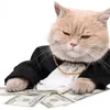 Аватар паблишера MoneyLover