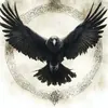 Аватар паблишера Rawen_wings