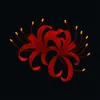 Аватар паблишера Shadow of Lycoris