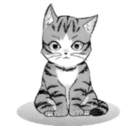 Кот-Волшебник