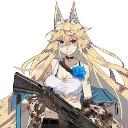 G41
