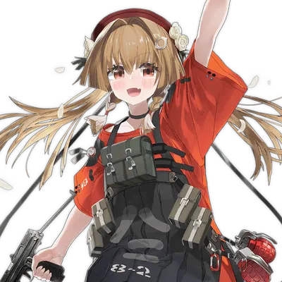 Type 82