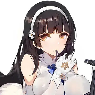 Type 95