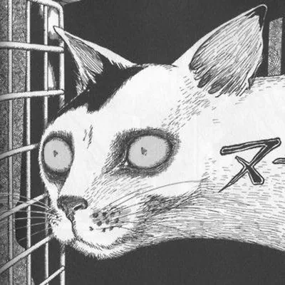 Ён