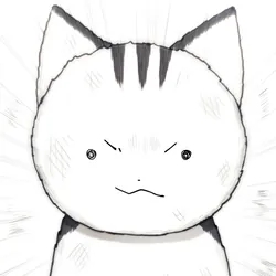 Кот