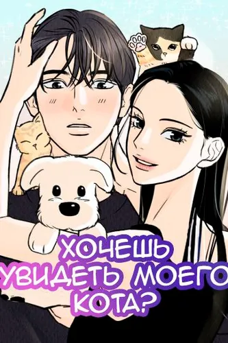 Хочешь увидеть моего кота?