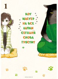 Кот-мастер на все лапки сегодня снова грустит