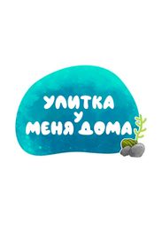 Улитка у меня дома