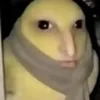 fanijokeplc