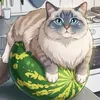 КотНаАрбузе