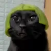 Bargos