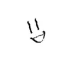 Follower